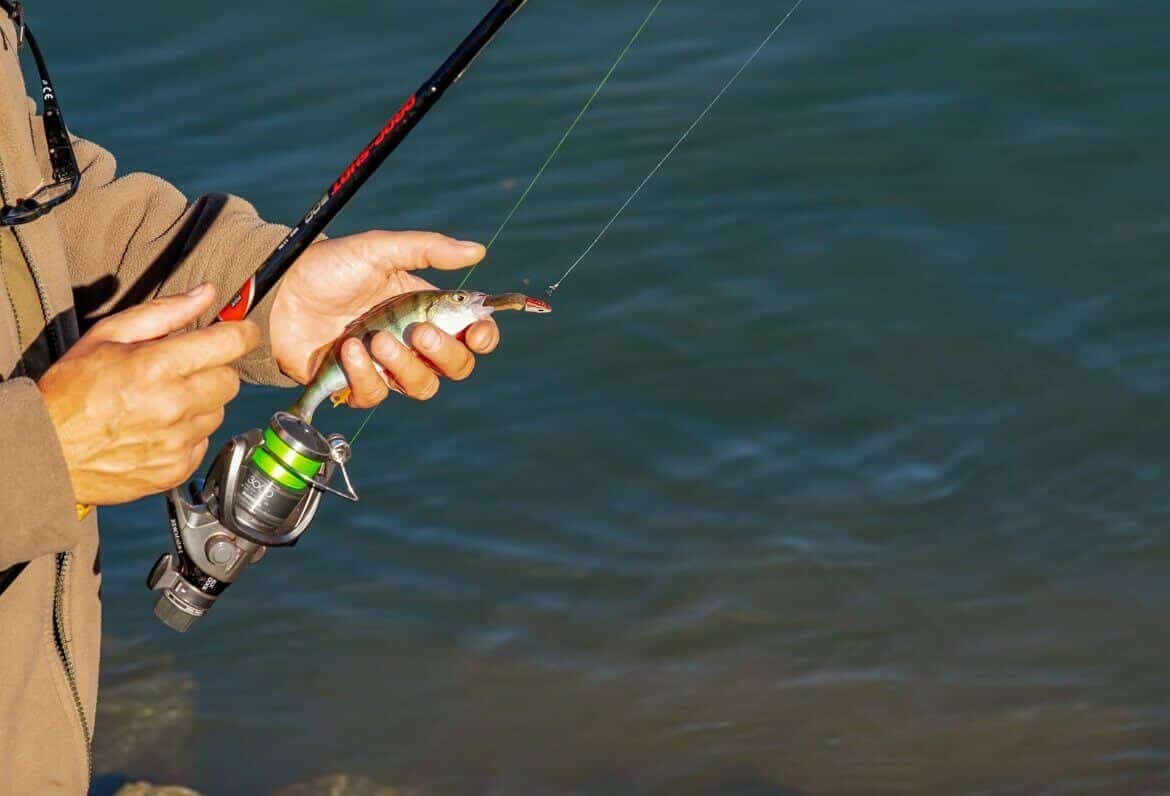 The Best Bluegill Fishing Reels