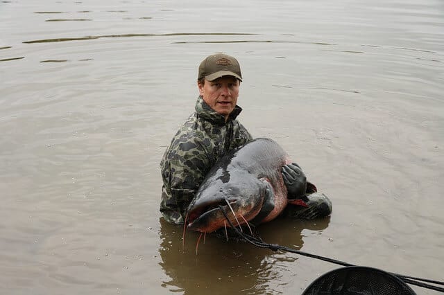 My Top Three Favorite Catfish Rigs